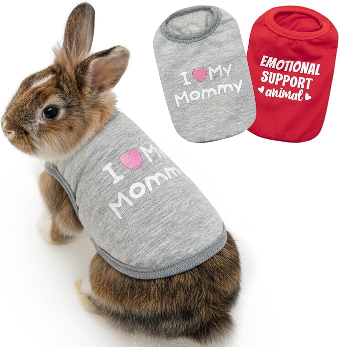 Guinea Pig Clothes (2-Pack), Soft Small Animal Vest T-Shirt | Breathable Small Pet Apparel & Costume for Rat, Guinea Pig, Rabbit, Chinchilla, Ferret, Kitten