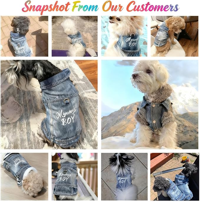 Mommy's Boy Dog Jeans Jacket,Pet Overalls Denim Coat,Puppy Clothes(M) | JcDuDoi Classic Small Dogs Male Cat Costumes Washed Vest Outfit T-Shirts Chihuahua,Yorkie,Teacup