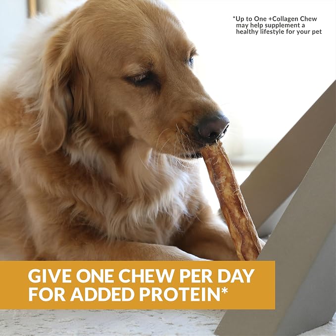Wild Eats Lamb Collagen Cheek Rolls 10 Inch Dog Chews, 3 Pack, Medium Breed | Long lasting retriever style treats and bones, flavored substitute for pig ears, satisfying snack that keeps pups busy longer