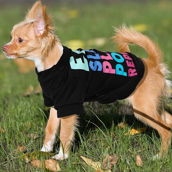 4 Pieces Dog Clothes for Small Dogs Boy Chihuahua Clothes Summer Pet Shirt Cute Puppy Shirts Outfits Dog T-Shirt (Small)