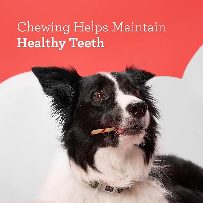 DreamBone Twist Sticks Rawhide-Free Dog Treats With Real Protein, 50 Count | Daily Chew, Digests Safely and Completely, Made With Real Chicken and Veggies, For Adult Dogs