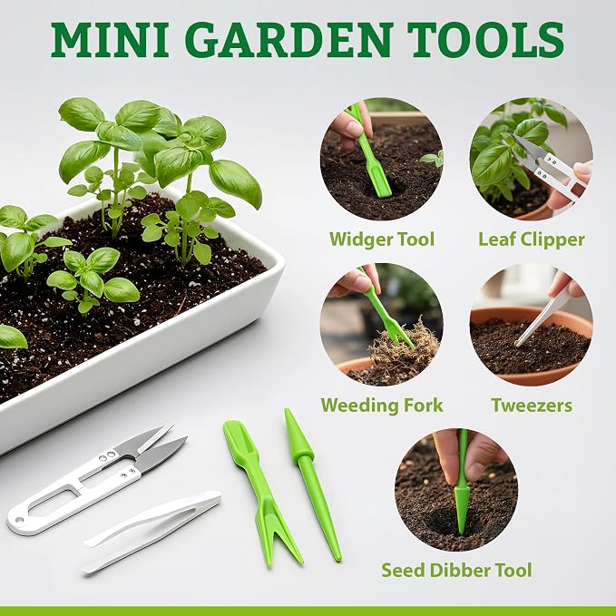 Medicinal Herb/Tea Seeds Garden -39 Variety Heirloom Gift Kit - Made in USA