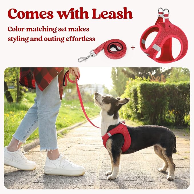 rabbitgoo Dog Harness Small Sized and Leash Set, Step-in Puppy Pet Vest | Light, Soft, Breathable Air Mesh, Easy on and Remove with Hook & Loop, Secure Reflective for Walking, Red XS
