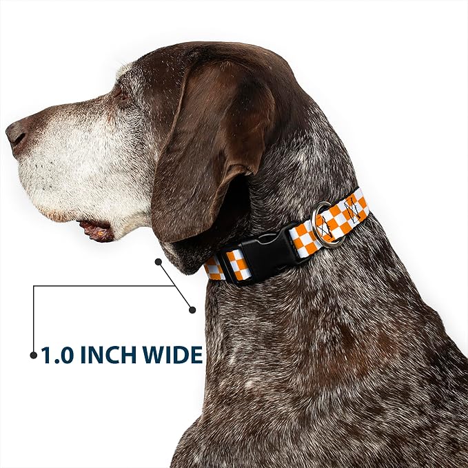 Buckle-Down Plastic Clip Dog Collar