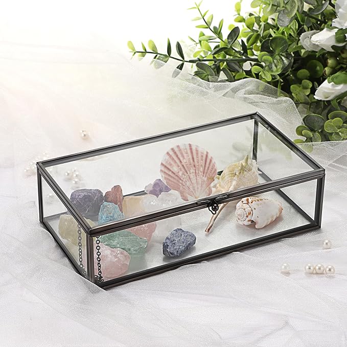 Hipiwe Glass Keepsakes Display Box with Lid - Decorative Black Glass Box | Clear Rectangle Storage for Trinket Perfume Cards Gift