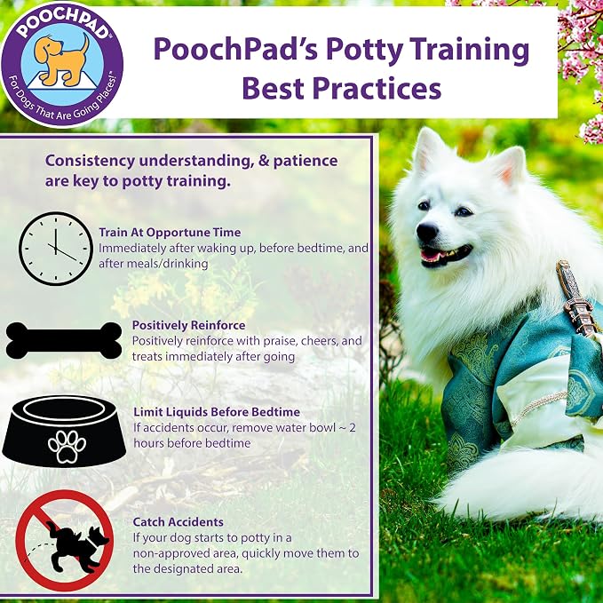 PoochPad Potty Training Attractant Spray for Dogs & Puppies, 16 oz | Indoor Potty Pad & Outdoor Use, Dog Training & Behavior Aid, Housebreaking Supplies, Non-Toxic Formula, Made in USA