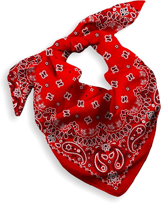 Gift Packaging Bandana for Men Women - 100% Cotton, Paisley, 22x22 In, 1 Pack - Large Bandanna Handkerchief Cowboy Hanky