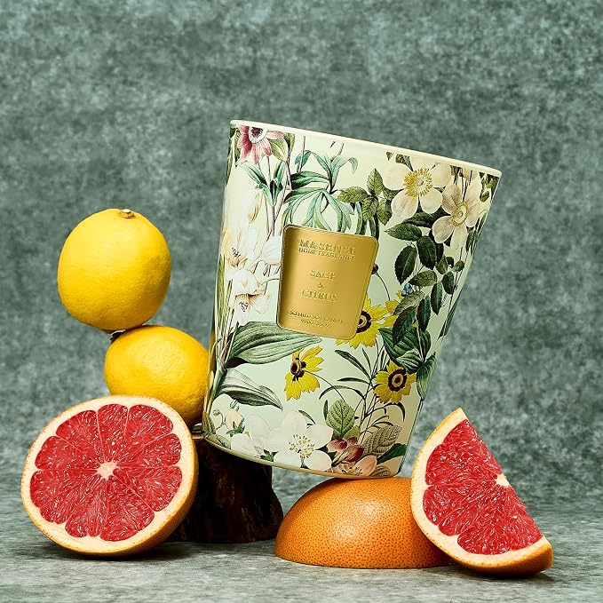 M&SENSE Sage Citrus Large Soy Scented Candle, 3-Wick 35oz 150H Long Lasting Aromatherapy Candle, Kitchen Freshness, Summer Home Refresh Gift