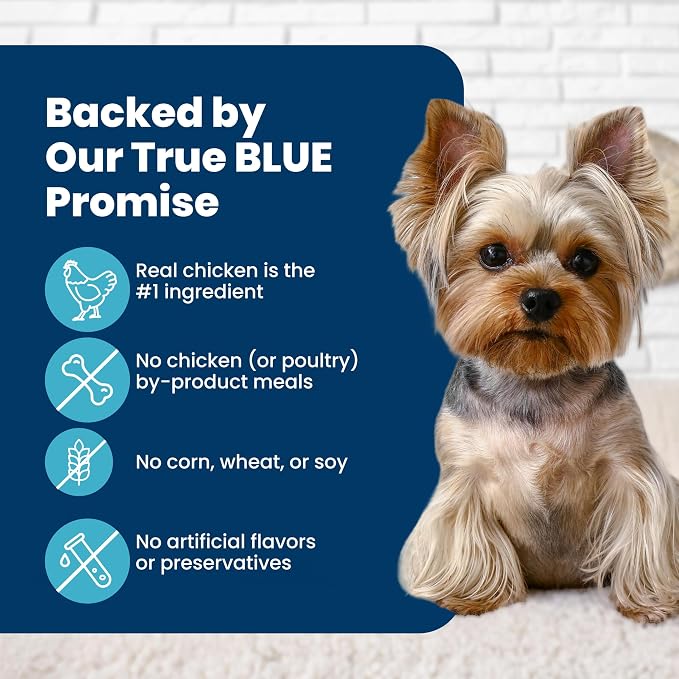Blue Buffalo Life Protection Formula Small Bite Chicken Dry Dog Food, 15 lb | Smaller Kibble for Easier Chewing, Real Chicken #1 Ingredient, Supports Immunity with Antioxidant-Rich LifeSource Bits