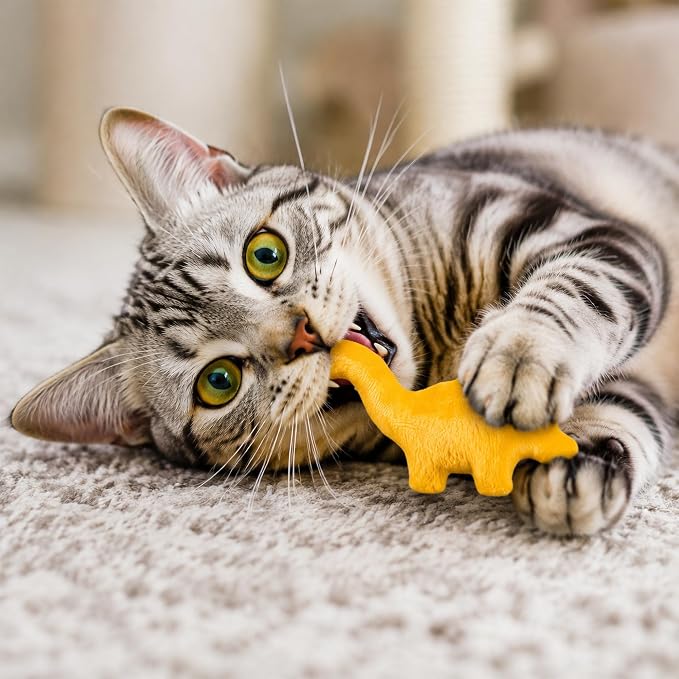 8Pcs Dino Nuggets Catnip Toys for Cat, Interactive Catmint Cat Toy Gift