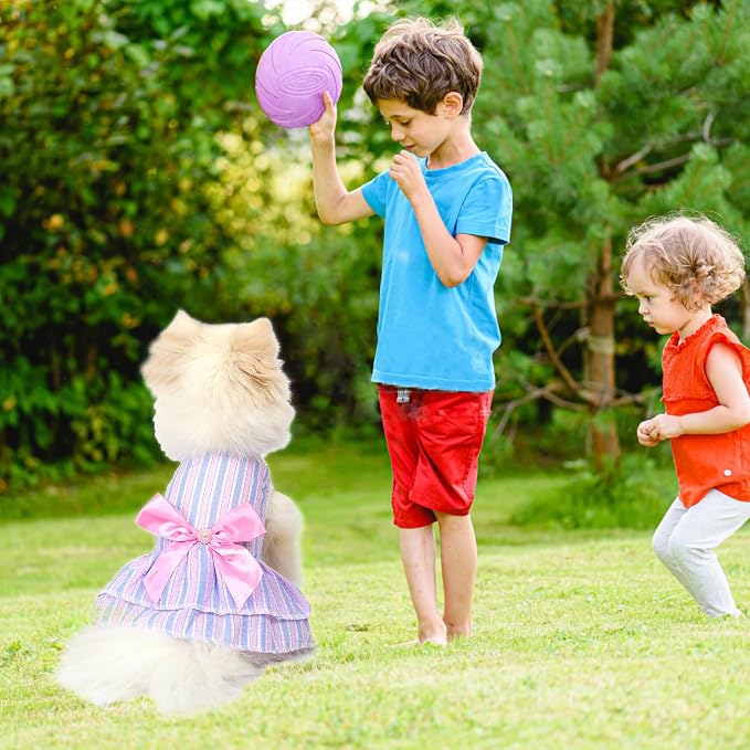 Dog Dress, Cute Pet Princess Dresses with Bright Color Design, Sweet Bowknot, Dog Clothes for Small Dogs Girl, Breathable & Lightweight, for Spring Summer, 2 Pack (Rose PinkBlue, Large)