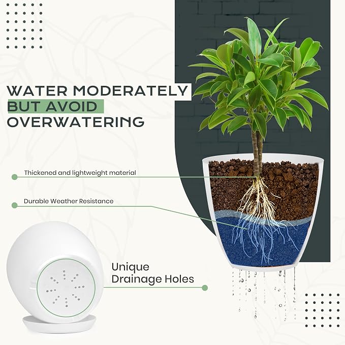 Plant Pots Indoor with Drainage, 10 Pack Multi-Size Planters Set, White | Drainage holes included Multiple sizes 7/6.6/6/5.3/4.8 In Indoor plants and flowers Durable plastic construction