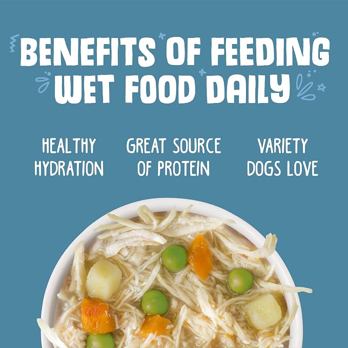 Weruva Classic Dog Food, Grandma's Chicken Soup with Chicken Breast & Veggies, 5.5oz Can (Pack of 24)