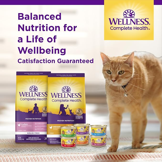 Wellness Complete Health Kitten Dry Cat Food, Natural, Wholesome Grains Kibble, Turkey, Turkey Meal and Chicken Recipe, 5 lb Bag