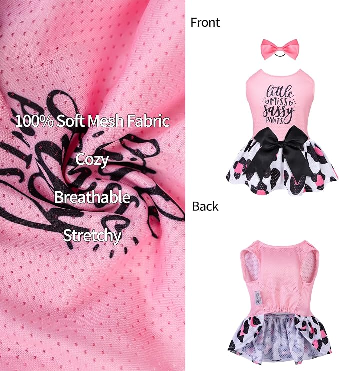 CuteBone Dog Mesh Dress Puppy Sundress Pet Outfit Summer Fashion for Small Dogs Girl Cat Clothes