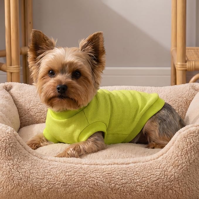 2 Pack Dog Shirt for Small Supplies Functional Waffle Dog Clothes Warm Soft Sweatshirt Outfit for Dogs Cats Pet Apparel