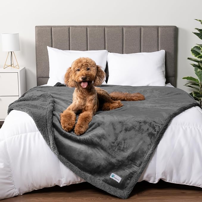 PetAmi Waterproof Dog Blanket for Large Dog Pet, 90x90 Queen, Dark Grey | 460 GSM Sherpa Fleece Reversible, Pee Proof Cat Blanket, Furniture Protector Cover for Bed Sofa Kennel, Washable, Queen Size