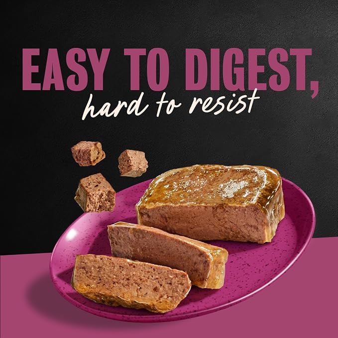Cesar Wet Dog Food, Steak Lovers Variety Pack, 3.5 oz, 36 Count | Real meat #1 ingredient, easy peel trays, 100% complete & balanced, no fillers, no added sugar, no artificial flavors