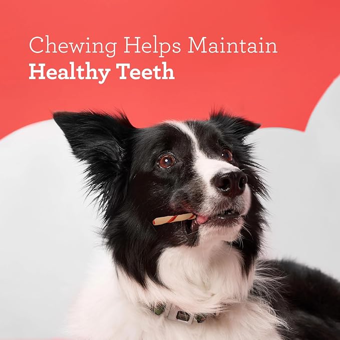 DreamBone Twist Sticks, Made with Real Chicken, Rawhide-Free Chews for Dogs, 50 Count (3 Pack) | Daily Chew, Digests Safely and Completely, Made With Real Chicken and Veggies, For Adult Dogs