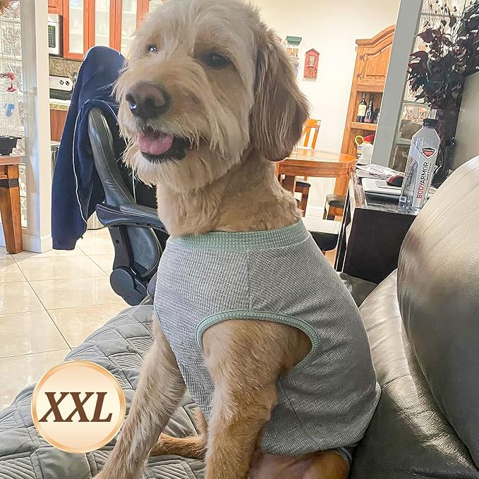 KYEESE 2Pack Waffle Dog Shirt for Medium Large Dogs Striped Dog Sweater | Cozy Warmth, Lightweight & Breathable, Gentle on Sensitive Skin, Stretchy & Free to Move, Comfortable Daily Wear