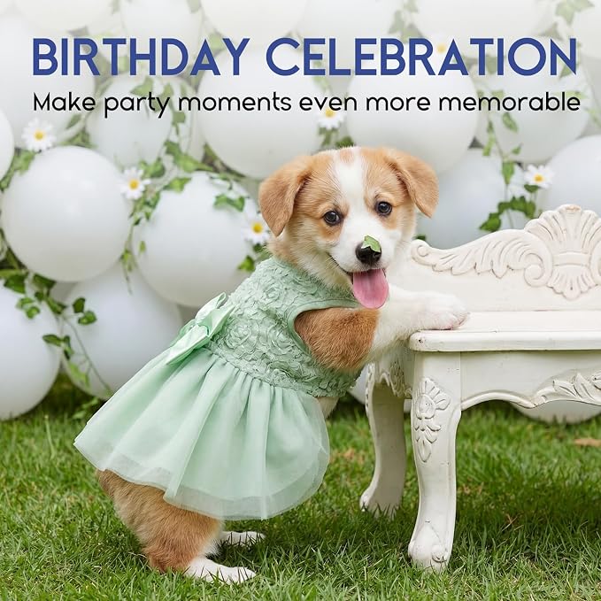 ASENKU Dog Dress Pet Wedding Dress Puppy Birthday Party Outfit, Green M | Dog Flower Girl Dress With Leash Hole, Princess Puppy Dress For Weddings, Daily Wear, Fits Small Medium Large Dogs Cats