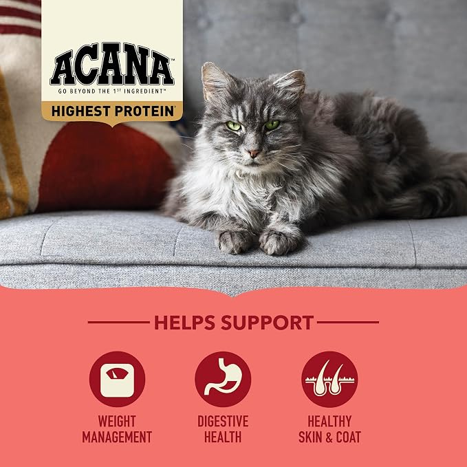 ACANA Highest Protein Dry Cat Food Indoor Cat Food Recipe 4lb Bag | Grain Free, High Protein, Made in the USA, Includes Probiotics, Omega-3 Fatty Acids, Skin & Coat, Digestive Health