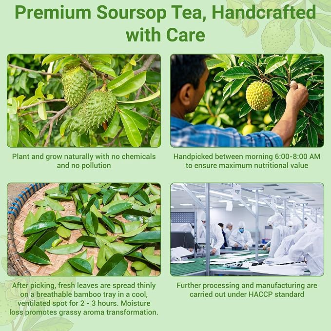 Soursop Leaves Tea Bags, Premium Soursop Graviola Leaves Herbal Tea, Pure & Natural Soursop Leaves for Digestion, Support Healthy Skin & Sleep, No Additives, Caffeine Free (50 Bags/1 Pack)