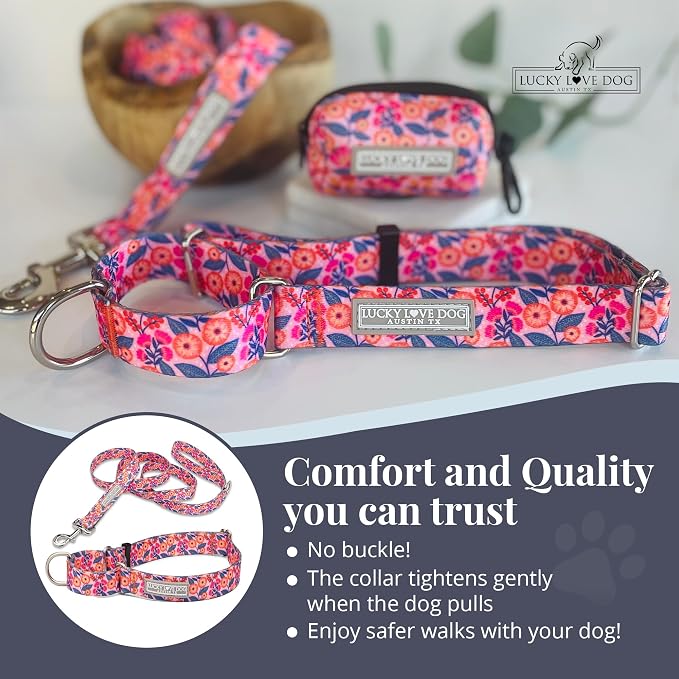 Lucky Love Dog Martingale Collar & Leash Set No Slip Cute – Rosie, Small