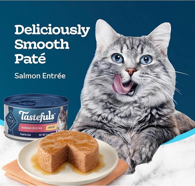 Blue Buffalo Tastefuls Salmon Paté Wet Cat Food, 3 oz, 24 ct | Real Salmon First, Paté Style, No Chicken By-Product, Corn, Wheat, or Soy