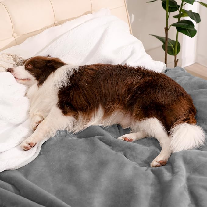 gogobunny Waterproof Bed Blanket, Reversible Sherpa Fleece Throw Blanket for Dog Puppy Cat, Furniture Cover Protects Bed Couch Sofa from Liquid Pee and Pet Fur (Grey, 25x35 inches)