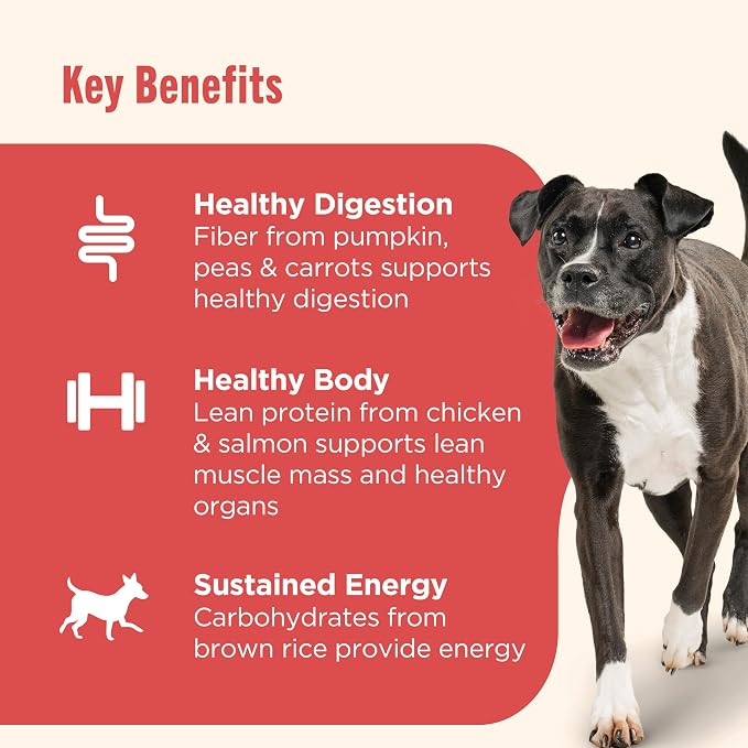 Nutrish Gentle Digestion Premium Paté Wet Dog Food,Real Chicken,Pumpkin & Salmon Recipe,13 oz. Can,(Rachael Ray),(Pack of 24)