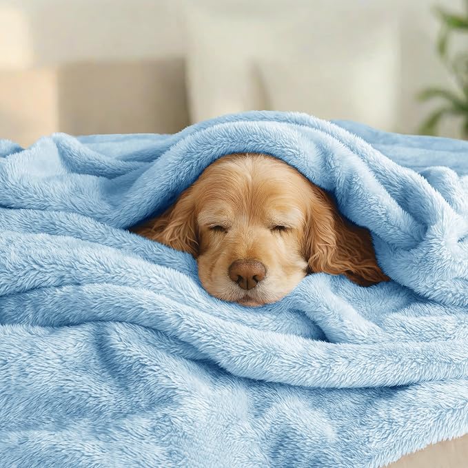 Exclusivo Mezcla Fuzzy Plush Fleece Bed Blanket King Size, Light Blue | 104x90 Inches, Super Soft and Cozy Bed Blanket, Fluffy Decorative Bedding for Livingroom, Bedroom, All Season