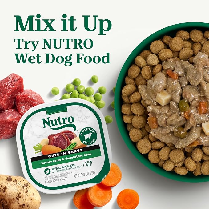 Nutro Natural Choice Small Bites Dry Dog Food, Salmon Recipe, 4.5 lb | Non-GMO, Real salmon #1 ingredient, Omega-3 & Omega-6 for skin & coat, no corn, wheat, soy, supports digestion & immunity