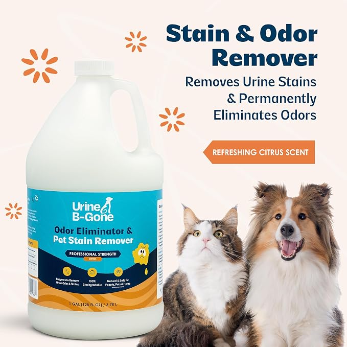 Urine B-Gone Enzyme Cleaner for Human, Cat & Dog Urine, Citrus, 1 Gallon | Enzyme cleaner for human, cat and dog urine on laundry, carpets and more; citrus scent, 1-gallon size.