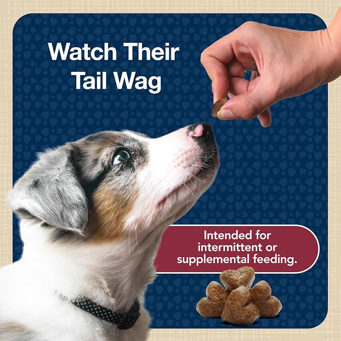 Blue Buffalo Bits Beef Training Treats, 4 oz | Real Beef First, DHA for Cognitive Development, No Chicken By-Product Meals, Free from Red Dye 40