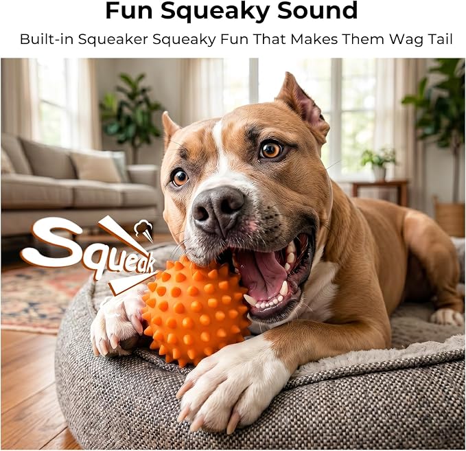 Peanut Butter Flavored 2 Pack 3.5'' Squeaky Ball for Dogs, 25-80lbs