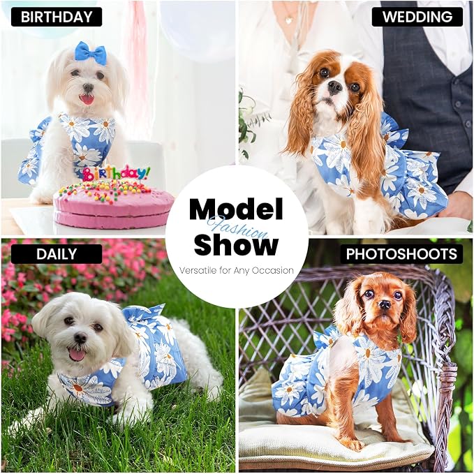 ABRRLO Cute Dog Dress Small Dog Clothes for Girls Female Puppy Outfits Blue Daisy Pet Summer Clothes Bowknot Doggy Cat Princess Dress Harness Set for Holiday Birthday Party Costume Clothing (Blue,XL)
