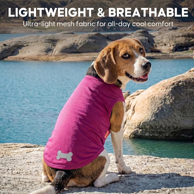 KYEESE 2Pack Dog Shirt, Lightweight Sun Protection Dog T Shirts for Small Medium Dogs Girl, Breathable Mesh Tank Top Sleeveless Pet Reflective Vest, Soft Summer Dogs Clothes, Strawberry+Rose Red, XL