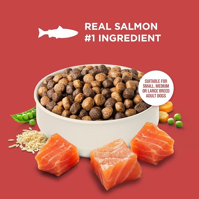 Nutrish Salmon Dry Dog Food, 4.5 lb. Bag (Rachael Ray) | Complete & Balanced Nutrition for Small, Medium and Large Breed Adult Dogs, Veterinarian Reviewed Formula