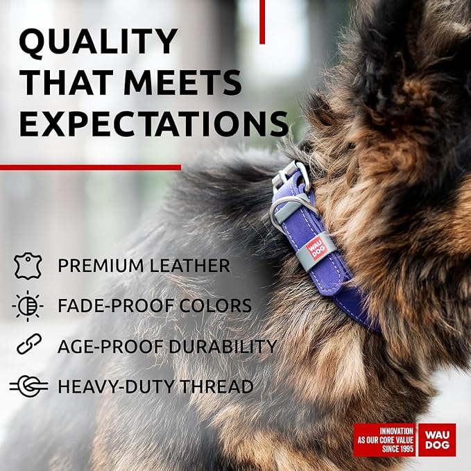 WAUDOG Genuine Leather Dog Collar Adjustable Large Medium Small QR Code Tag