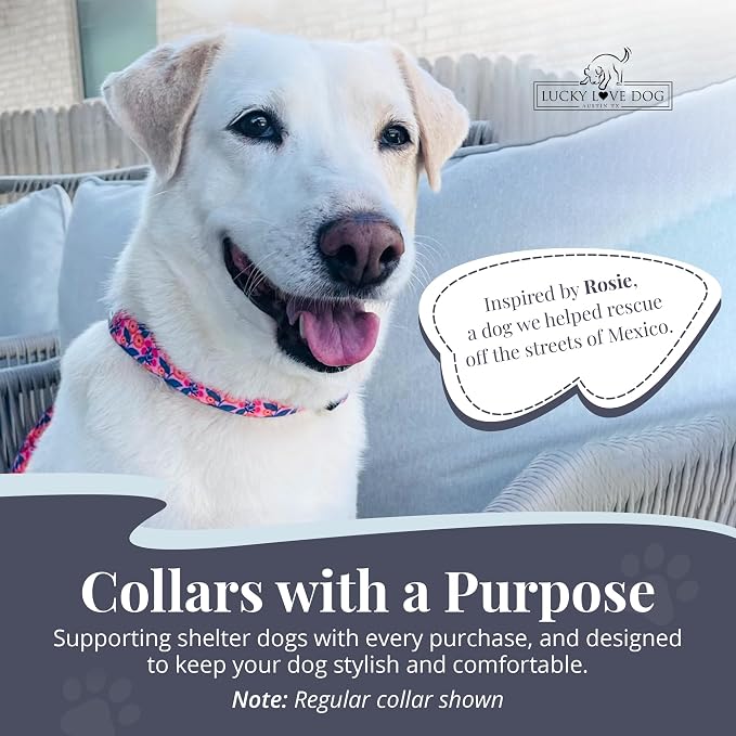 Lucky Love Dog Martingale Collar for Medium Dogs No Slip – Rosie, Medium