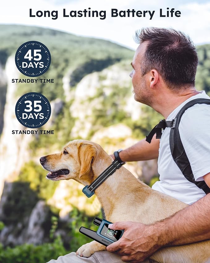 Training Collar for 2 Dogs, 4200FT Dog Shock Collar with Remote