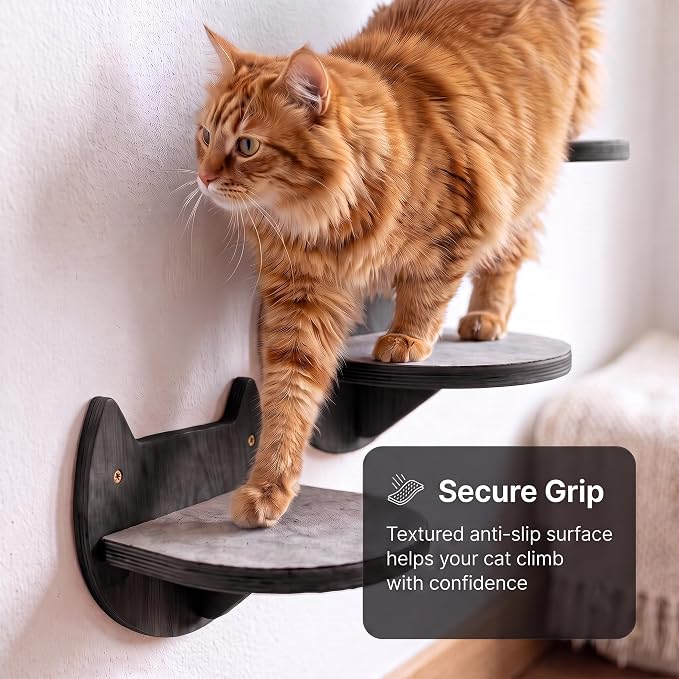 Cat Wall Shelves, Floating Bed with 3 Cat Wall Steps - Black | Pre-Drilled Anchor Kit for Easy Mount, Cozy Spot for Climbing & Play, Indoor Cats up to 18 lbs, Solid FSC Birch Wood