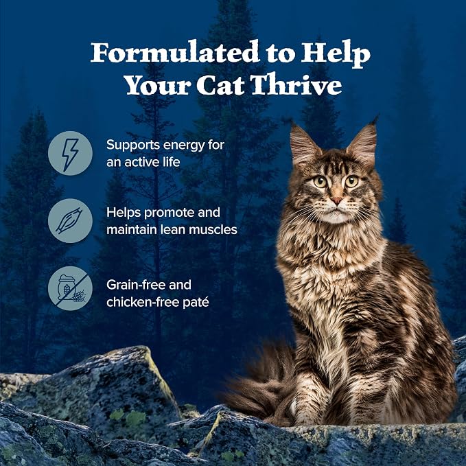 Blue Buffalo Wilderness Rocky Mountain Recipe Wet Cat Food Flakes (24 Pack) | Flaked Trout in Tasty Gravy, Grain-Free & Chicken-Free, High Protein, Made with Natural Ingredients, 5.5-oz. Cans