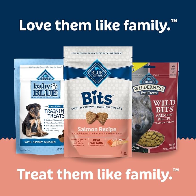 Blue Buffalo Bits Soft Dog Treats for Training, Made with Natural Ingredients & Enhanced with DHA, Salmon Recipe, 4-oz Bag (Pack of 6)