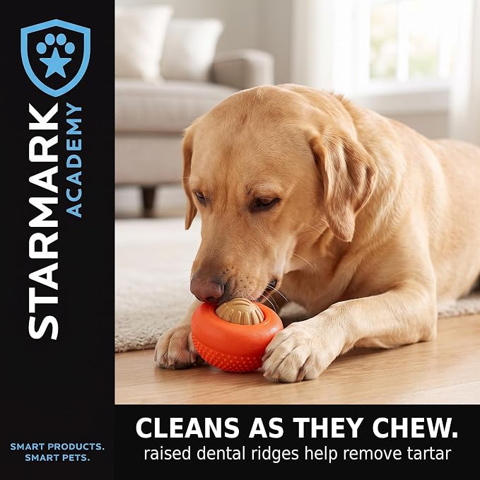 Starmark Everlasting Treats Dental Chews Large, 2 Count (Pack of 1), Chicken Flavored