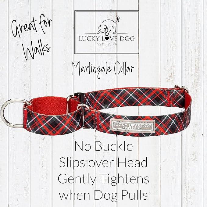 Lucky Love Dog Martingale Collar & Leash Set No Slip Cute – Heywood, Medium