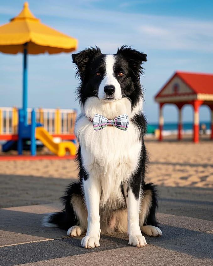 PET SHOW 5 Pack Plaid Dog Bowties for Large Dogs Slide on Collar