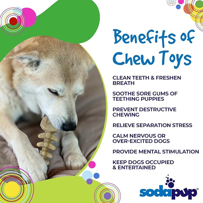 SodaPup Fish Bone – Durable Dog Chew Toy Made in USA from Non-Toxic, Pet Safe, Food Safe, Nylon Material for Mental Stimulation, Clean Teeth, Fresh Breath, Problem Chewing, Calming Nerves, & More