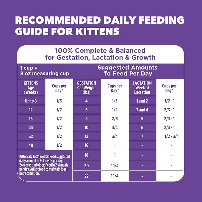 IAMS Proactive Health Healthy Kitten Dry Cat Food, Chicken, 7 lb | Veterinarian-recommended, real chicken #1 ingredient, Omega-3 DHA & taurine, supports digestion, skin health, immune system